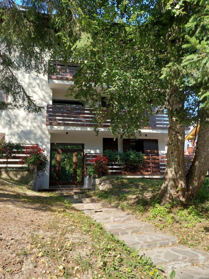 Casa Ampia Funghetto Sulle Piste Di Folgarida Apartment Exterior photo